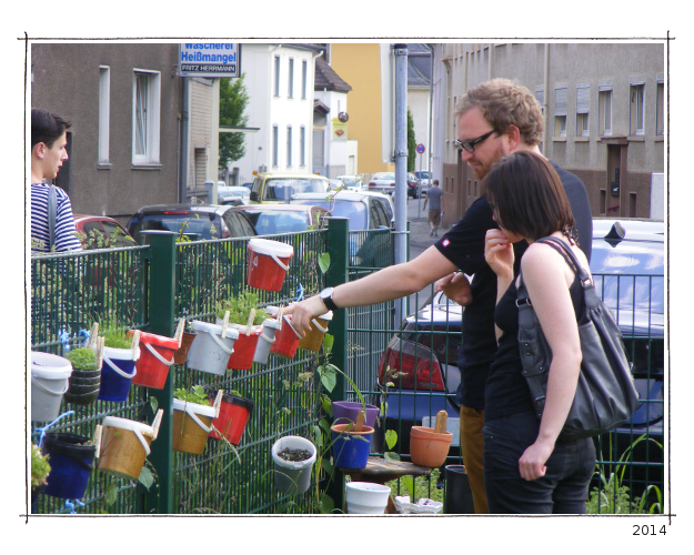  Besucher schauen sich den Garten an